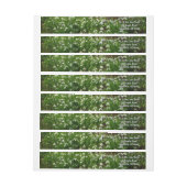 Snowdrops II (Galanthus) Frühlingsflora (Bogen)