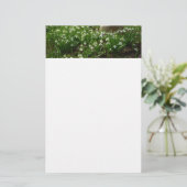 Snowdrops II (Galanthus) Frühlingsflora Briefpapier (Stehend Vorderseite)