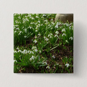 Snowdrops II (Galanthus) Frühlingsflora Button