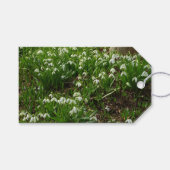 Snowdrops II (Galanthus) Frühlingsflora Geschenkanhänger (Vorderseite (Horizontal))