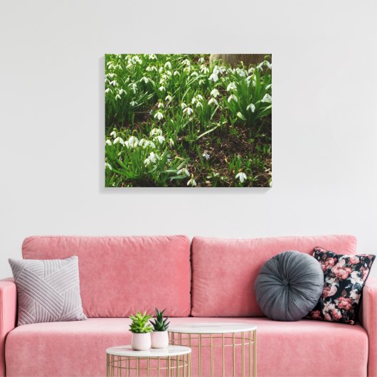 Snowdrops II (Galanthus) Frühlingsflora Leinwanddruck (Insitu (Wohnzimmer))