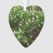Snowdrops II (Galanthus) Frühlingsflora Ornament (Vorderseite)