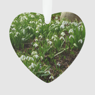 Snowdrops II (Galanthus) Frühlingsflora Ornament