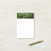 Snowdrops II (Galanthus) Frühlingsflora Post-it Klebezettel (Auf Schreibtisch)