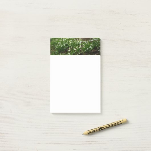 Snowdrops II (Galanthus) Frühlingsflora Post-it Klebezettel (Auf Schreibtisch)