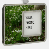 Snowdrops II (Galanthus) Frühlingsflora Rahmen-Ornament Silber (Rechts)
