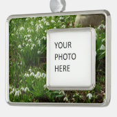 Snowdrops II (Galanthus) Frühlingsflora Rahmen-Ornament Silber (Links)