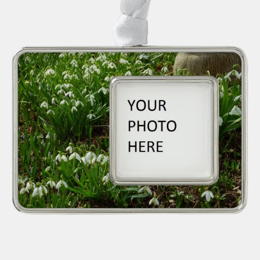 Snowdrops II (Galanthus) Frühlingsflora Rahmen-Ornament Silber (Vorderseite)