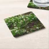 Snowdrops II (Galanthus) Frühlingsflora Rechteckiger Pappuntersetzer (angewinkelt)