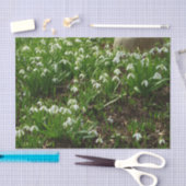 Snowdrops II (Galanthus) Frühlingsflora Seidenpapier (Handwerk)