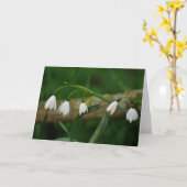 Snowdrops Karte (Gelbe Blume)