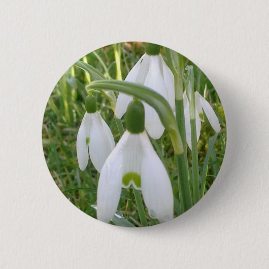 Snowdrops Knopf Button (Vorderseite)