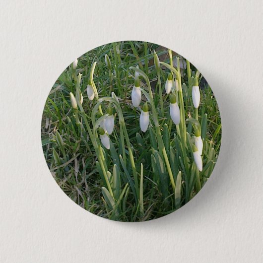Snowdrops Knopf Button (Vorderseite)