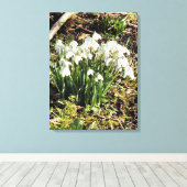 SNOWDROPS LEINWANDDRUCK (Insitu (Holzboden))