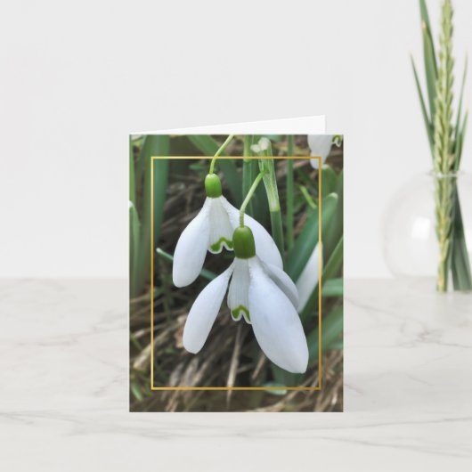 Snowdrops mit Goldgrenze Feiertagskarte (Vorderseite)