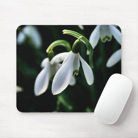 Snowdrops Mousepad (Mit Mouse)
