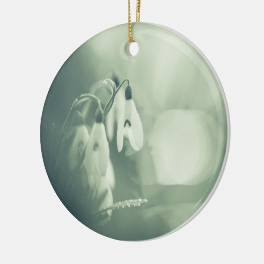 Snowdrops Nature Foto Keramik Ornament (Links)