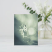 Snowdrops Nature Foto Postkarte (Stehend Vorderseite)