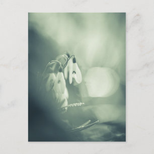 Snowdrops Nature Foto Postkarte