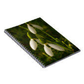 Snowdrops Notizbuch Notizblock (Rechte Seite)