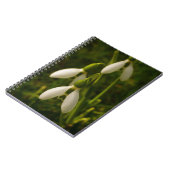 Snowdrops Notizbuch Notizblock (Linke Seite)