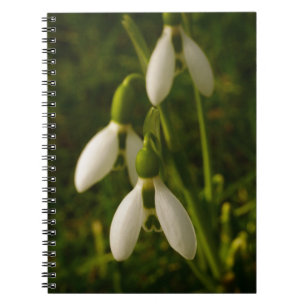 Snowdrops Notizbuch Notizblock
