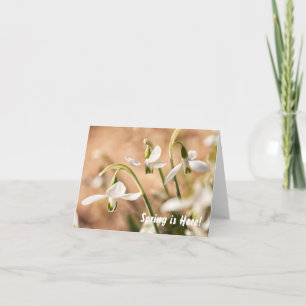 Snowdrops personalisierte Anmerkungs-/Gruß-Karte Karte