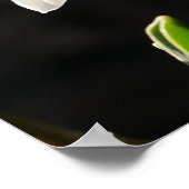 Snowdrops Poster (Ecke)