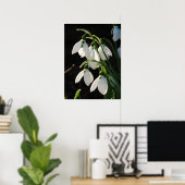 Snowdrops Poster (Heimbüro)