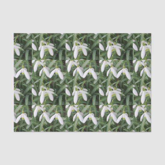 Snowdrops Seidenpapier (Vorderseite)