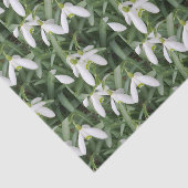 Snowdrops Seidenpapier (Ausschnitt)