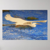 Snowey-White-Kreuzchen Poster (Vorne)