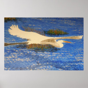 Snowey-White-Kreuzchen Poster