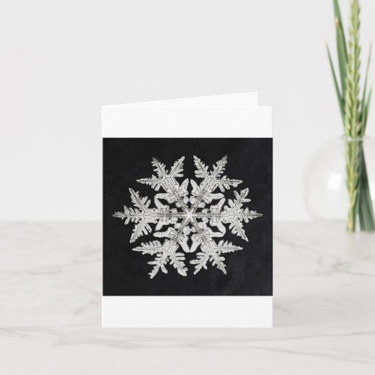 Snowflake 2 Ferienkarte Feiertagskarte (Vorderseite)