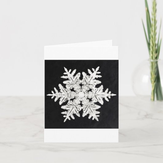 Snowflake 4 Urlaubskarte Feiertagskarte (Vorderseite)