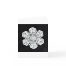 Snowflake 5 Ferienkarte