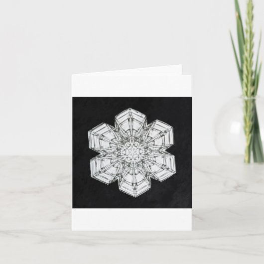 Snowflake 5 Ferienkarte Feiertagskarte (Vorderseite)