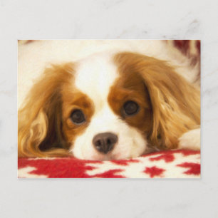 Snowflake Cavalier King Charles Spaniel Post Card Postkarte