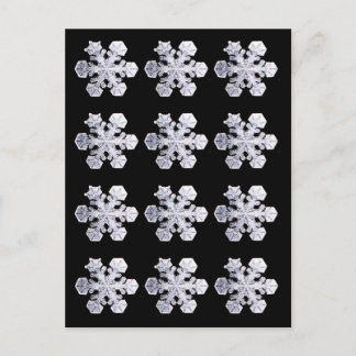 Snowflake Crystal Fotos Postkarte