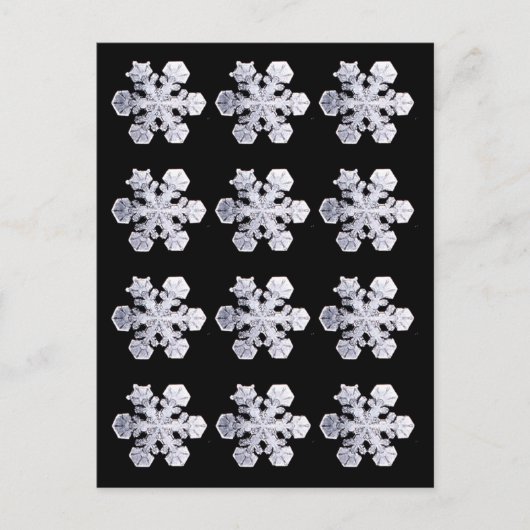 Snowflake Crystal Fotos Postkarte (Vorderseite)