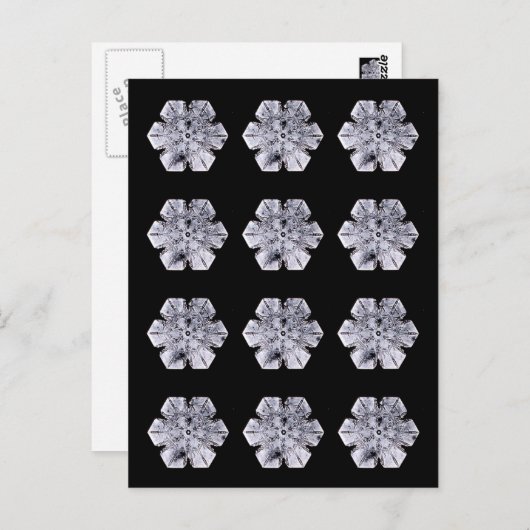 Snowflake Crystal Fotos Postkarte (Vorne/Hinten)