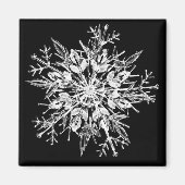 Snowflake Crystal Magnet (Vorne)