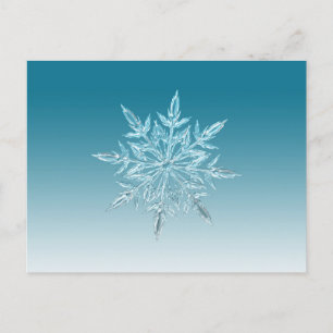 Snowflake Crystal Postkarte
