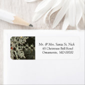 Snowflake Custom Happy Weihnachts-Rücksendeadresse (Insitu)