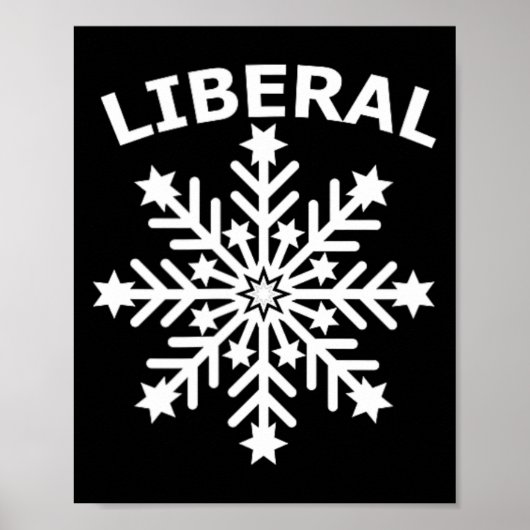 Snowflake Frauenrecht Diversity Menschenrechte Gle Poster (Vorne)