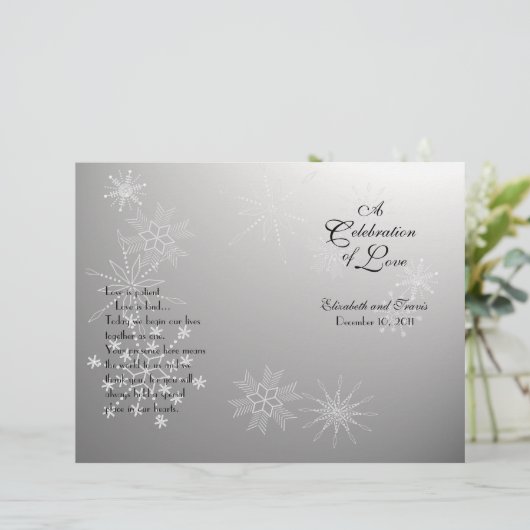 Snowflake Gemis Silver Programm (Stehend Vorderseite)