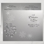 Snowflake Gemis Silver Programm (Vorne/Hinten)