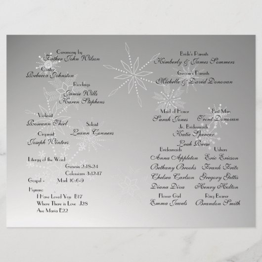 Snowflake Gemis Silver Programm (Rückseite)