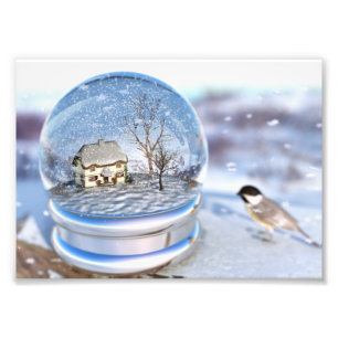 Snowflake Globe Foto Print