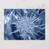 Snowflake Ice Crystal Postkarte (Vorderseite)